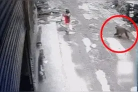 惊心动魄！3岁女童被野猴抓走，竟被藏在在悬崖边的树枝上！图片