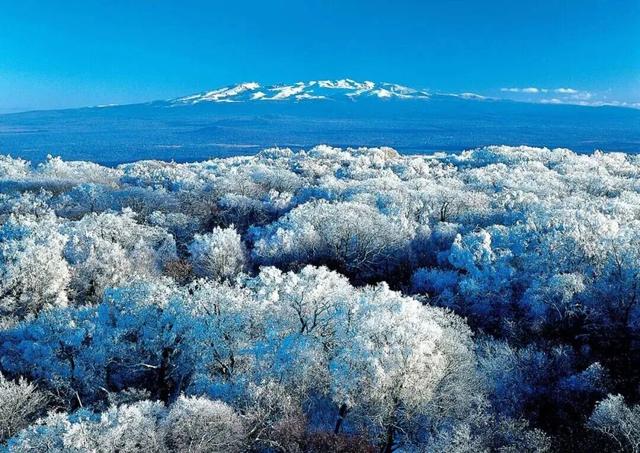 东北的冬天，除了雪花还有什么？去抚松找到满分答案