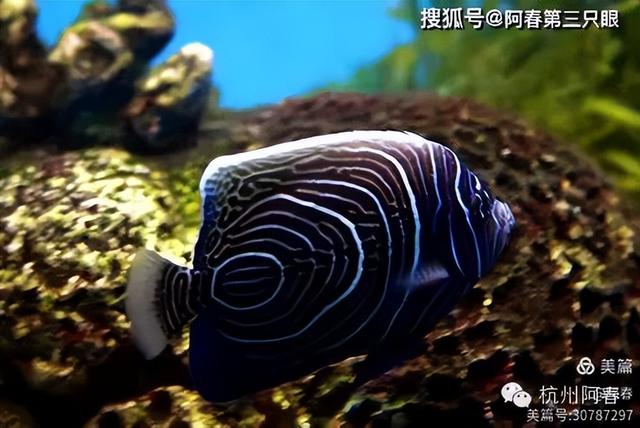 大连 之海洋世界