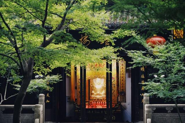 一到秋天，南京就美成了金陵