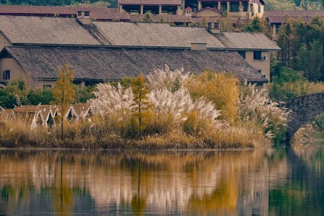 省级旅游度假区+2！每个都写满了松弛感