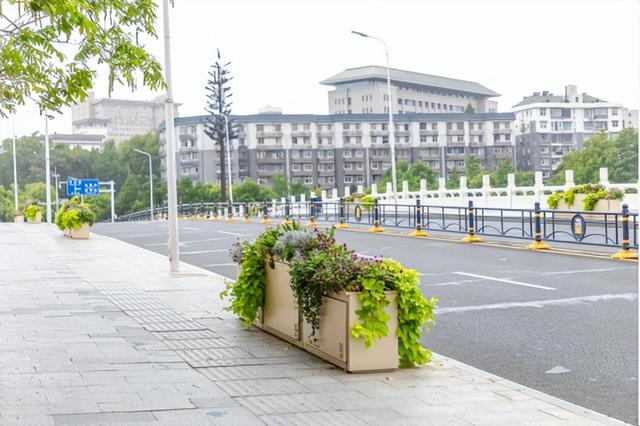夏日荟聚游武昌，双湖桥片区“水清岸绿”颜值再提升