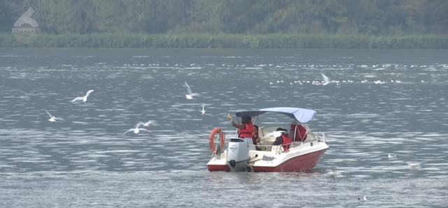 观鸥更方便！全新移动服务“神器”来了！