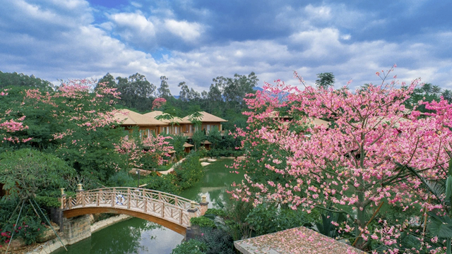 绿水青山绽新颜：长泰唐宋花仙谷打造农文旅康养融合新样本