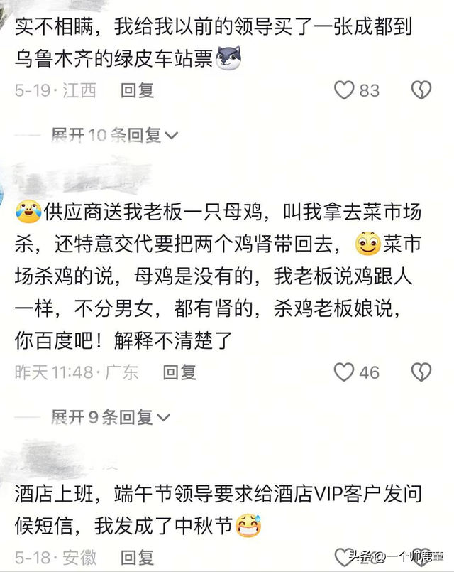 原来大家都在各自领域活成了笑话！00后的心态简直绝了，太好笑了