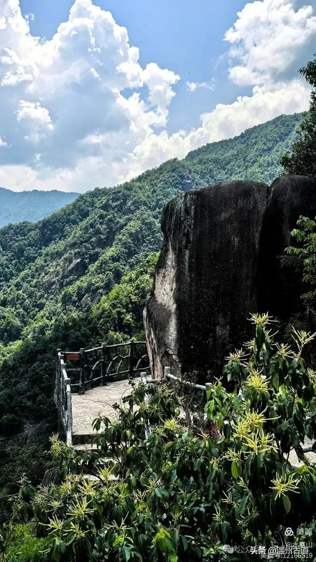 探秘浙南“小黄山”的绝美风光!夏日就去这个天然小众徒步氧吧!