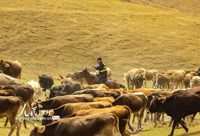 失眠187天后，我找到了“免费安眠药”｜打工人3天2夜逃离指南
