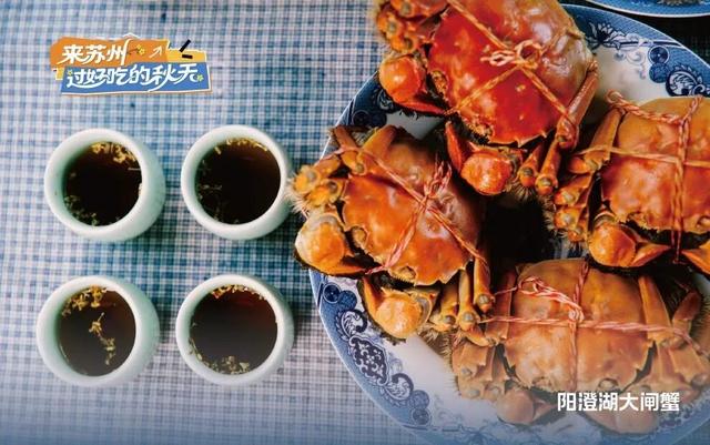 来苏州，共赴一场好吃好看好玩好逛的秋日盛宴