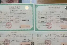 属实！17岁女孩为50岁男子代孕生下双胞胎！网友炸了图片
