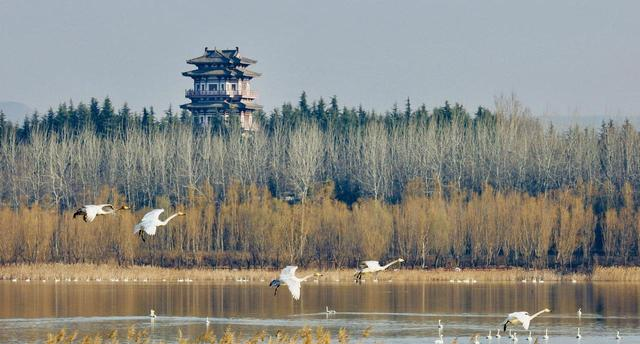 世界上只有中国邯郸市才有的全球独一无二的10大奇景