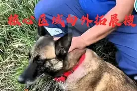 知情人曝料：或许已离开小卖部，最后那个坡顶到小卖部最多20分钟图片