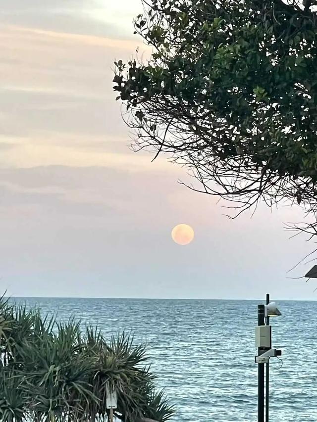 路上·布里斯班 ‖ 又出来赚小时来了