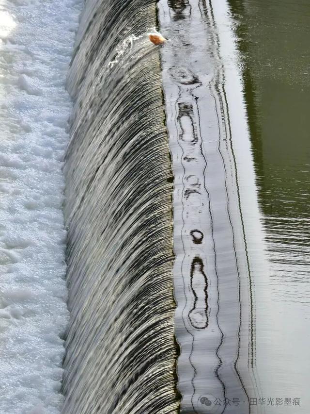 桓台融媒签约摄影师作品展：乌河骑行 见证三十年蝶变