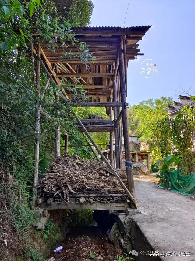 【行走徽州226】居家坞：一块石碑，藏着江张两姓和谐共处的往事