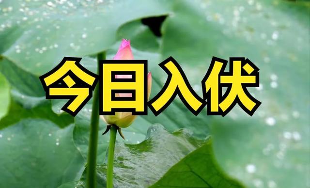 今日入伏，老人说最怕“入伏一日雨”，入伏天下雨有啥预兆？