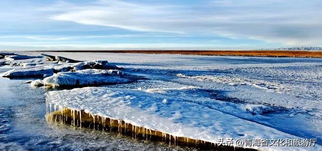 初冬青海,一场静谧与热烈并存的生命礼赞