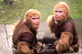 西游记中被打死的是六耳猕猴，还是孙悟空？菩提祖师早就给出答案图片