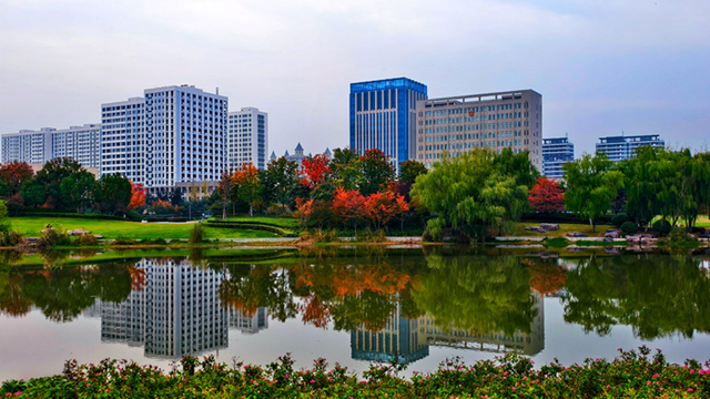 图说遂平：满城缤纷色 斑斓绘初冬