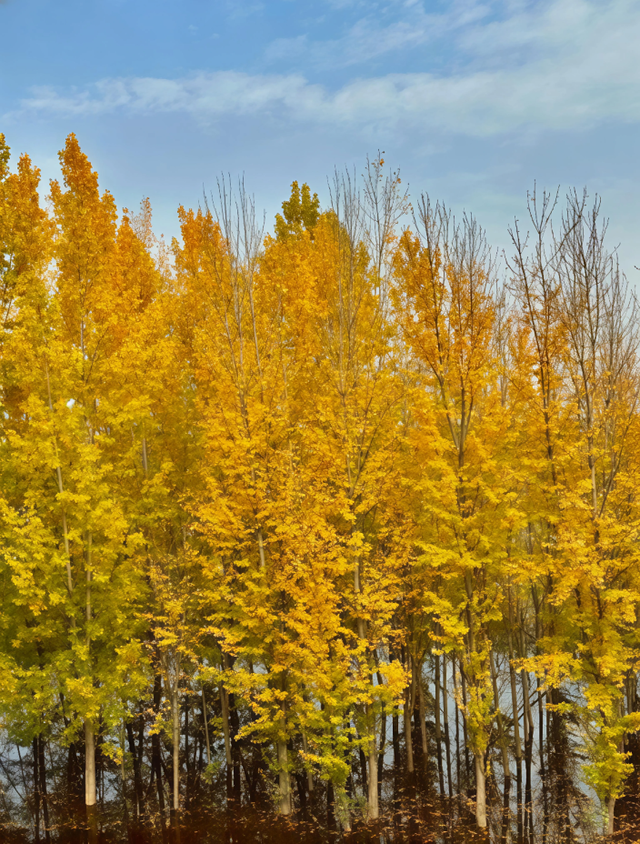 西安城区4个绝美秋景打卡地！