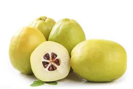 每日一讲之木瓜图片