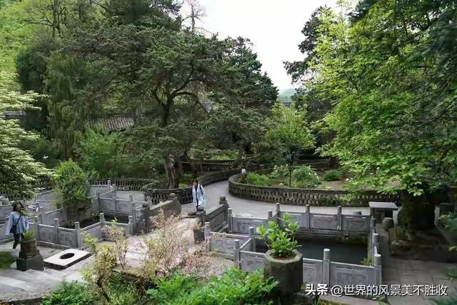 文/任天义:古柏森森处,犹闻《出师表》——汉中武侯祠记