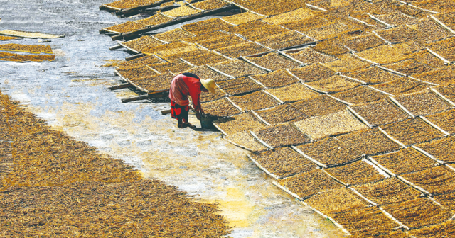 巫山：秋日巫峡 斑斓画卷