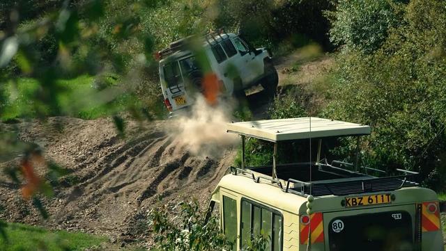 花5万远赴非洲追狮，一场属于中产的精神自救