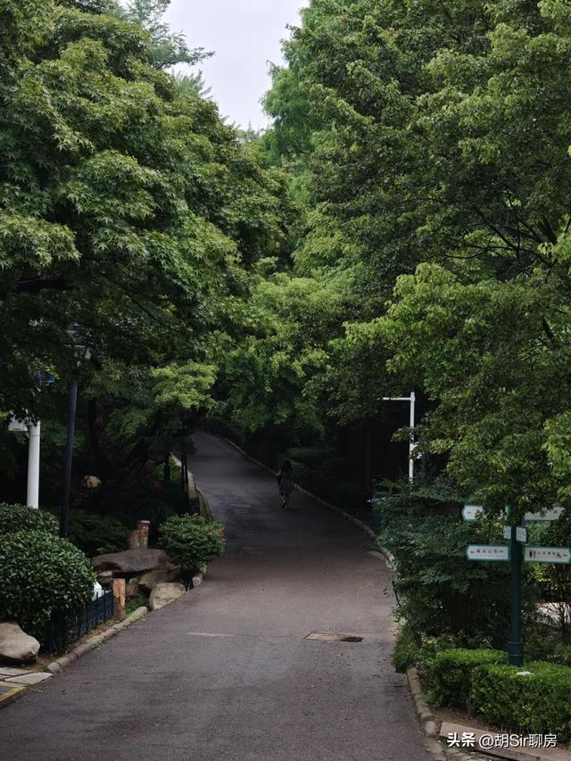 来青岛数十年，竟错过这里！