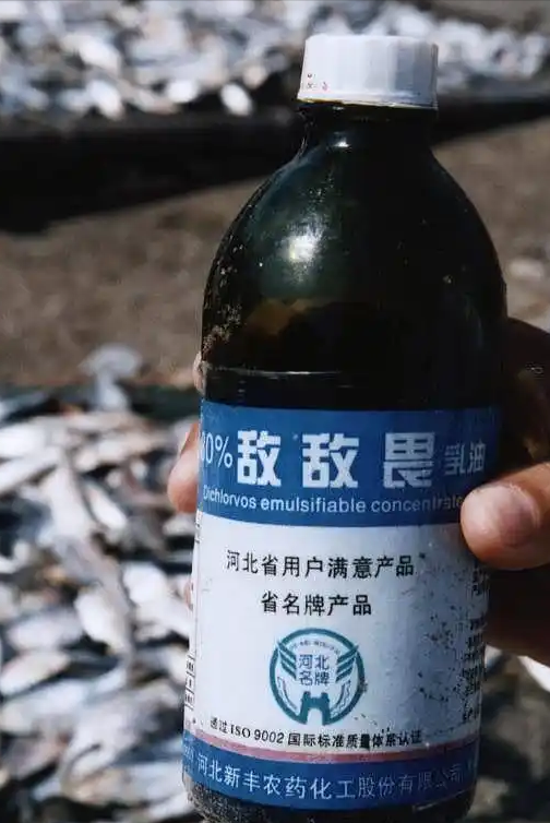 19岁少年错付车费自杀！司机消失，哥哥再发声，“凶手”还有一人