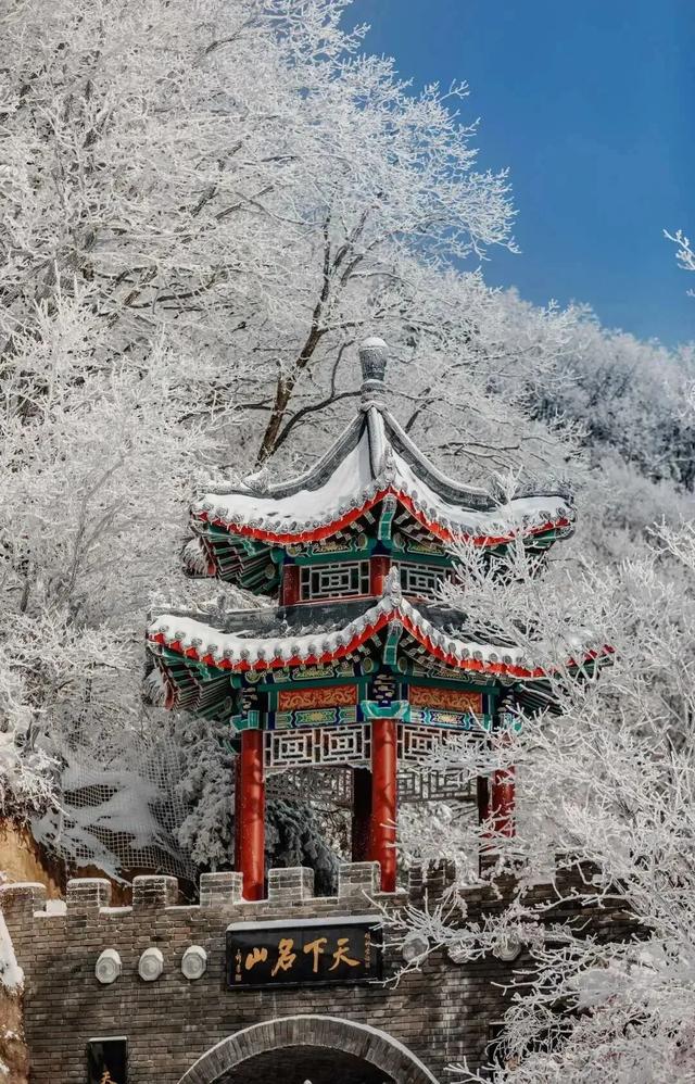 新年第一站，我先冲了！