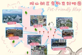 收好这份宠物友好地图~带上“毛孩子”出门感受美好春光图片