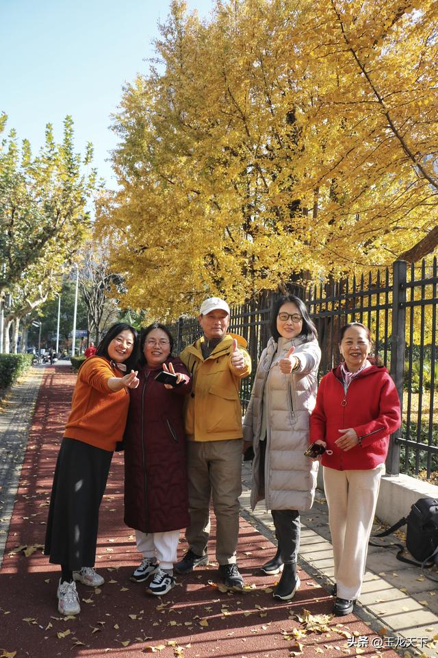 散文丨古银杏树下