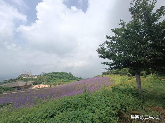 无为在歧路，齐山一块八
