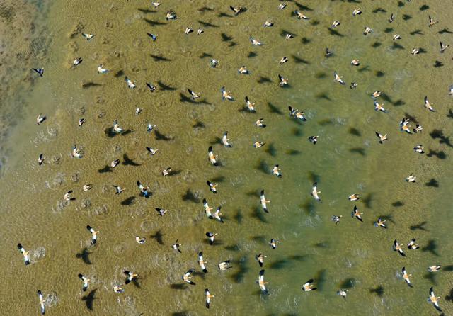 【漠南风】摄影专辑｜行走达茂 定格风光掠影