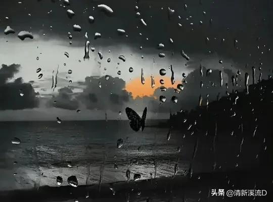经典伤感且治愈的情感文案｜新颖的句子｜适合朋友圈的文案