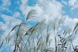 江城子●岁月感怀图片