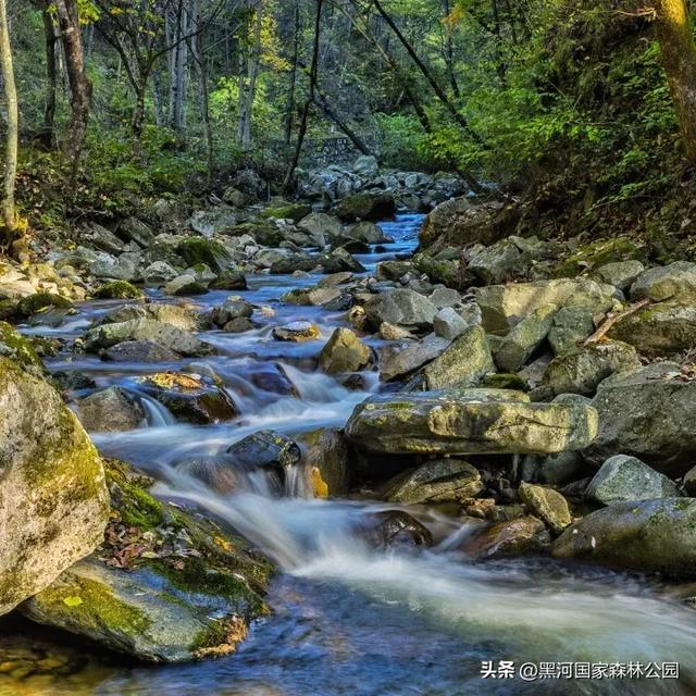 夏末初秋,出游正当时,在黑河邂逅夏秋两季交替之美