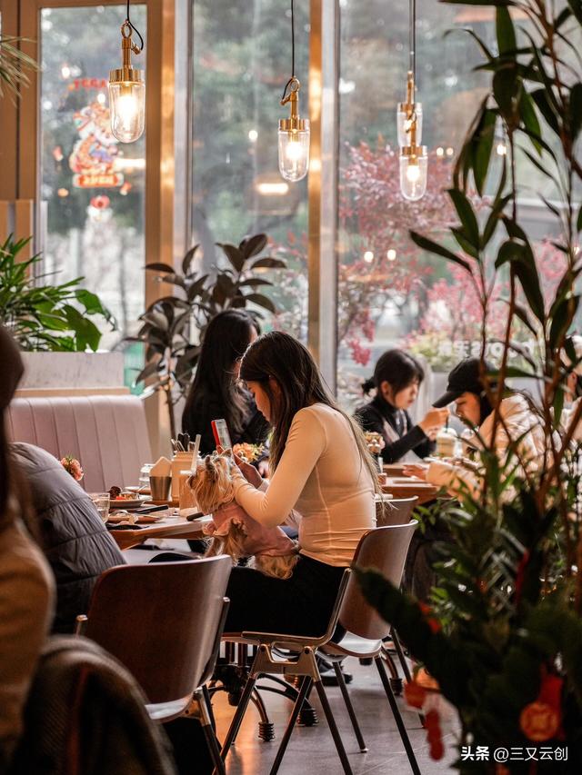从 0 到 1 学探店拍摄！光线 + 构图全攻略，新手也能出爆款！