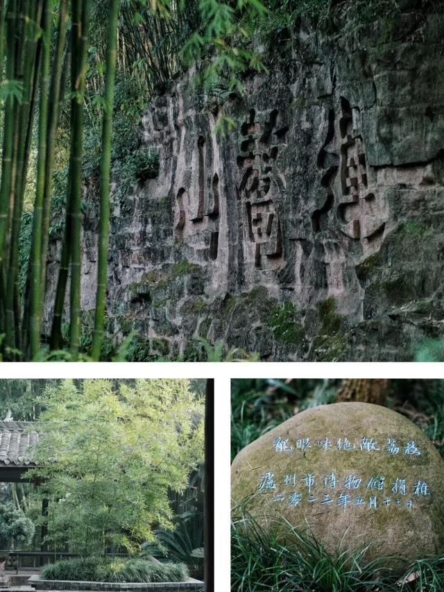 你好！东坡 | 府街：从生命起点到千年文脉的温暖传承