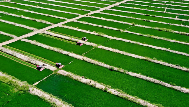一个肃南县，半座祁连山，两块飞地显神奇，甘肃省内独此一家
