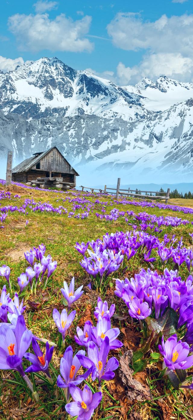 手机壁纸|iOS自然风光美景