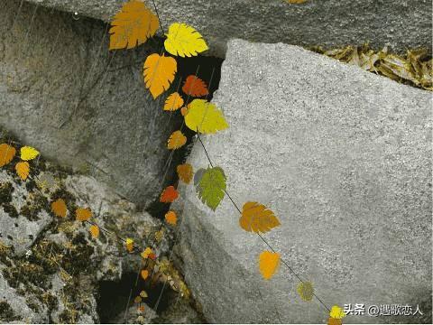 莫让虚荣蒙蔽双眼，感恩方显人生真谛