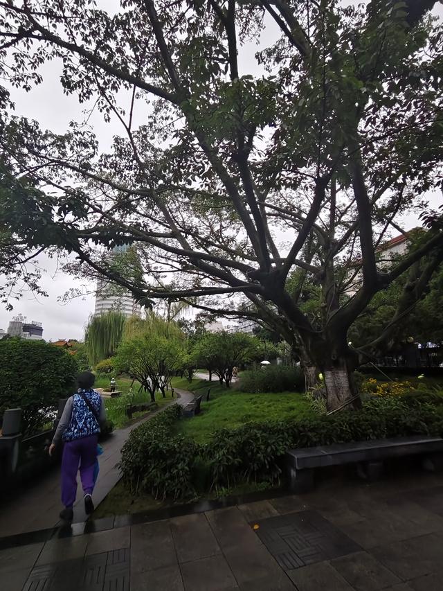 南行漫记：放慢行走的脚步，我们在南充休整