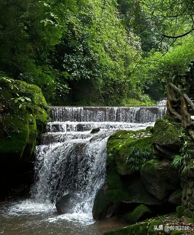 深秋想赴一场“森”系约会？来邛崃就够了！
