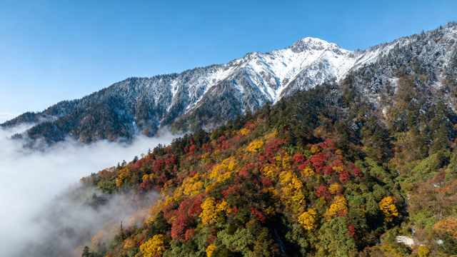 四川旅行，如何玩得舒心又省事？这份跟团攻略不操心局到你