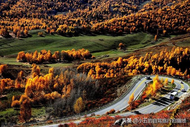 9 地秋日赏秋实测攻略！附最佳时间 + 落地玩法，收藏直接走