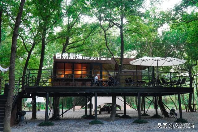 霞浦这处全球纬度最南枫香林，藏着闽东最浓的红韵