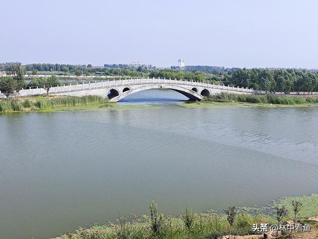 邯郸唯二的5A景区之一的广府古城，都有什么