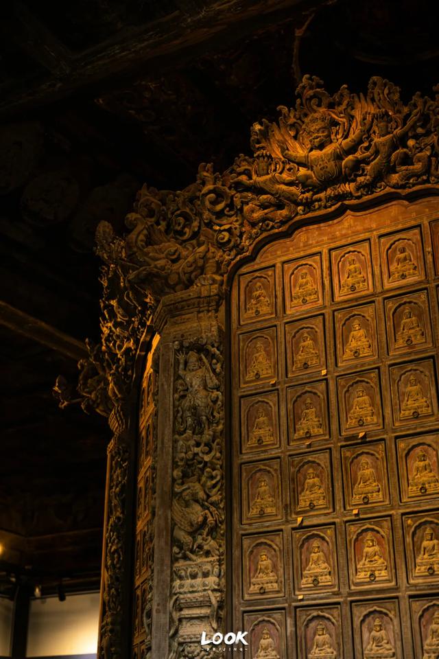 北京最新秋日打卡地 · 再看要等明年