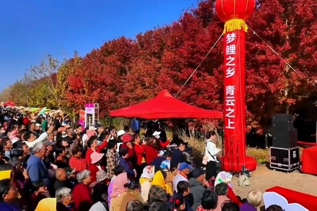 “一曲枫叶谣 引燃红枫潮”莱西夏格庄的文旅破圈密码